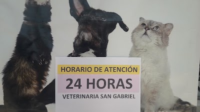 Photos of Veterinaria Marianela