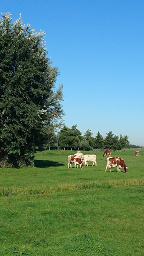 Melk- en Zuivelboerderij van Winden - Thumbnail