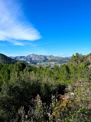 Senda dels Cocons (Villalonga - Forna)
