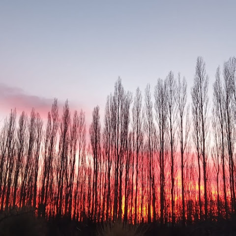 EcoMalargüe Posada & Hostel by null