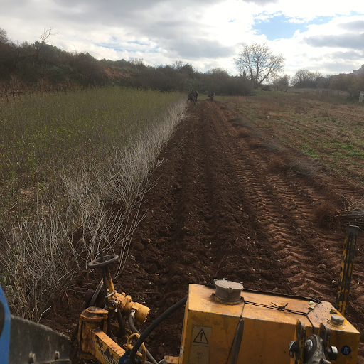 Viveros Aldonza - Foto 1