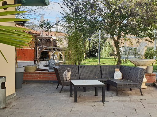 Photo 2 - Pizzeria chez trotroll