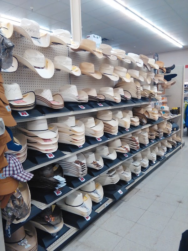 Магазин Американских Одежды И Обуви