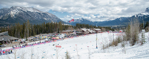 Alberta World Cup - Visual