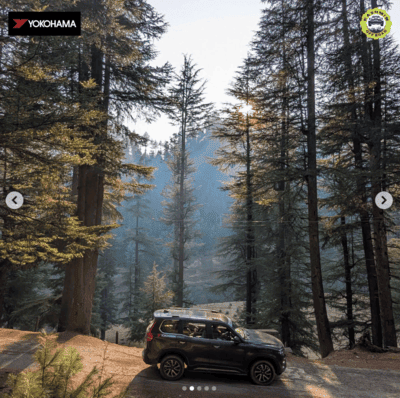 Where Nature Meets Adventure  post image