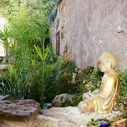Photo n°5 de Yoga Shala Dordogne à Alles-sur-Dordogne (Professeur de yoga)