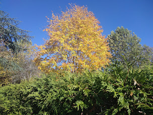 Photo n°62 de Camping de Masevaux à Masevaux (Terrain de camping)