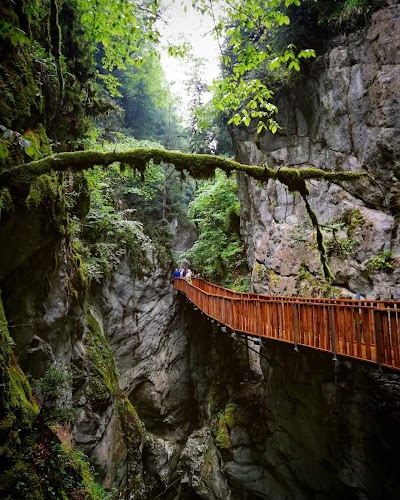 Horma Canyon (Kure Mountains National Park)