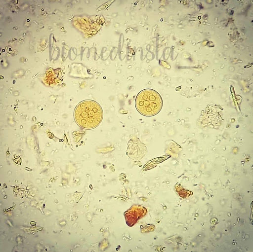 Laboratorio análisis clínicos MEDICA BCS - Thumbnail