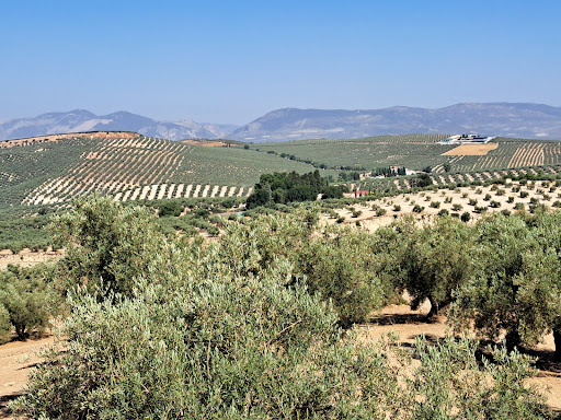 Cortijo Vista Alegre - Thumbnail