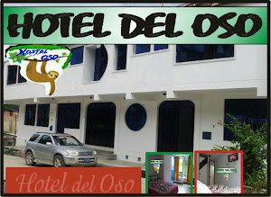 HOTEL DEL OSO 9