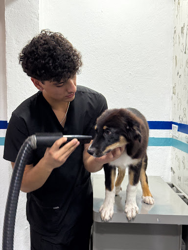 Veterinaria Sinergia