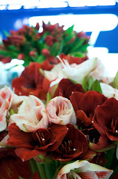Photo n°11 de Au Comptoir des Fleurs à Paris (Fleuriste)