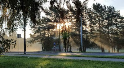 Photos of Pine Park