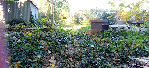 Bacini di Massalomba (Rete Natura 2000) - Thumbnail