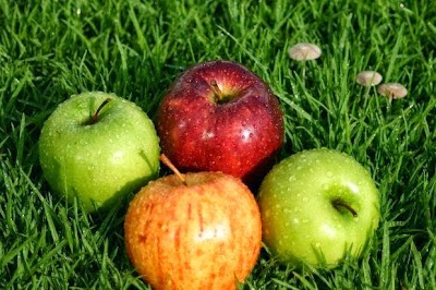 Photos of Ben-Dawod vegetables and fresh fruits