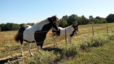 Shelby Farms P2 Uplands Parking Lot