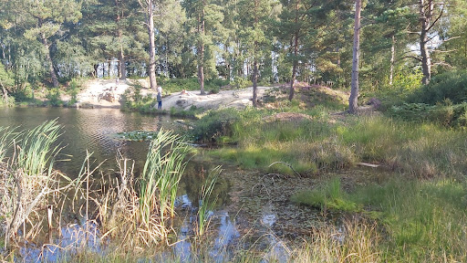 Lake @ Upton Heath Gallery - United Kingdom