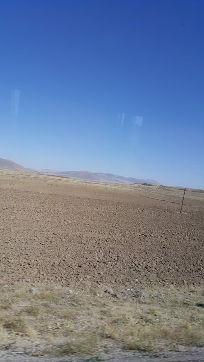 store
