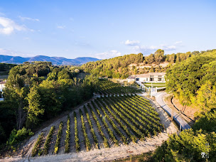 Photo n°5 de Gite Bastide à Cadenet (Ferme bio)