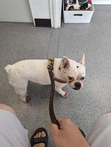 Hammond Park Veterinary Clinic Gallery - Australia