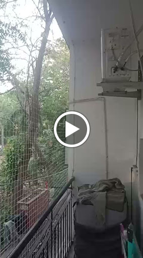 Bird Netting sarvice delhi NCR post image