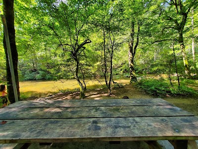 State Park Family Campground