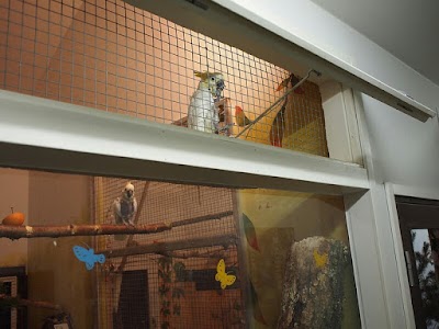 Photos of Heinola bird garden