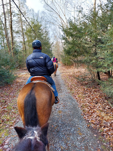 The WilderNest - Pocono Mountains - Thumbnail