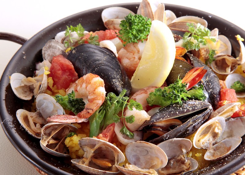 フォリボ―ラ Folivora