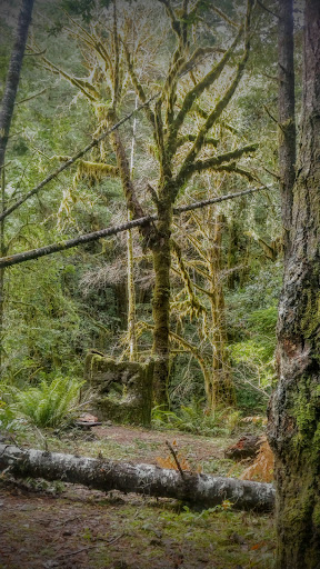 Chimney Camp South Trailhead - Thumbnail