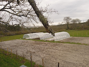 Photo n°2 de Le jardin des sables CBD à Cudos (Magasin de cannabis)