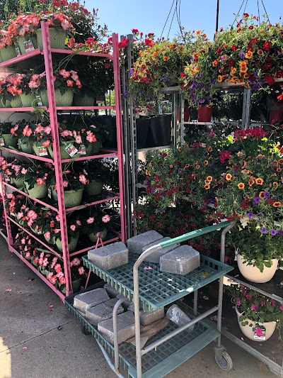 Walmart Garden Center