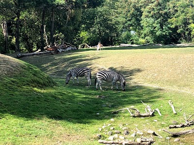 Woodland Park Zoo