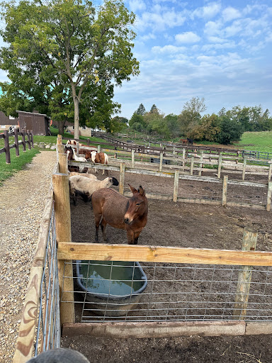 Dan Patch Stables - Visual