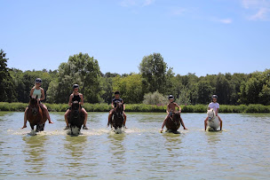 Photo n°1 de Les Poneys de Monthoiron à Monthoiron (Club d'équitation)