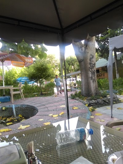 Photos of Seyir Cafe