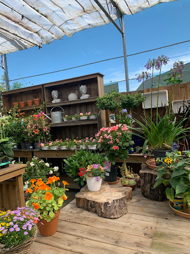 Garden Centre Plants and Such - Thumbnail