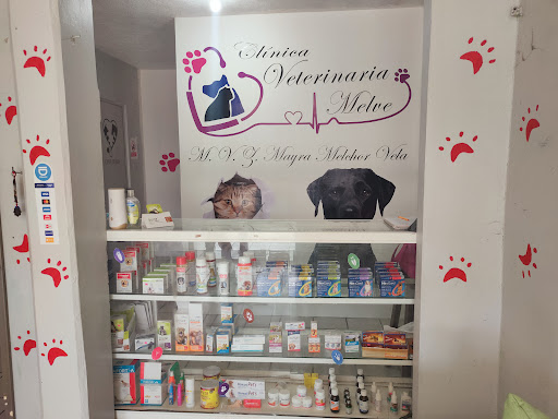 Clínica veterinaria Melve Gallery - Mexico