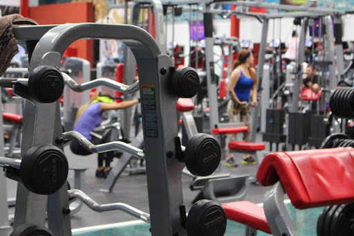 Sport Trainning - Thumbnail
