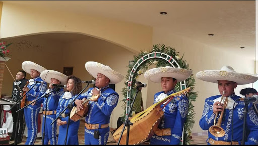 Vero la Golondrina Cantante Versatil Y Sonido para Fiestas.