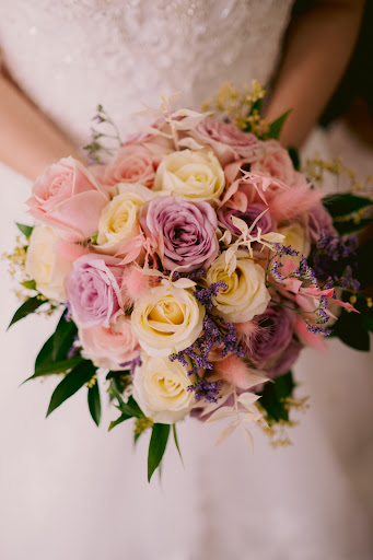 Floracation - Visual