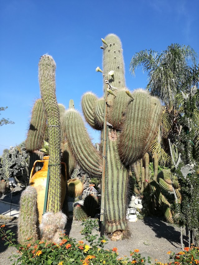 Giardini Ravino, Parco Botanico Tropical Mediterraneo