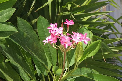 Photos of Coconut Cove Resort & Marina