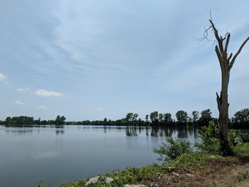 Dupree Memorial Conservation Area