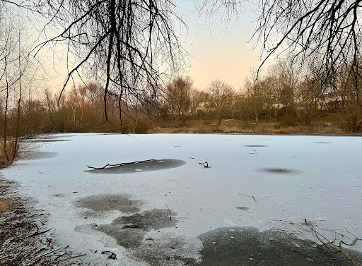 Wuhlgarten - Visual