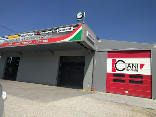 Ciani Gomme di Ciani Roberto - BestDrive Logo