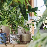 niwa to ki terrace（ニワトキ テラス）