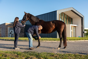 Photo n°21 de Clinique Vétérinaire Charol'Vet à Charolles (Vétérinaire)