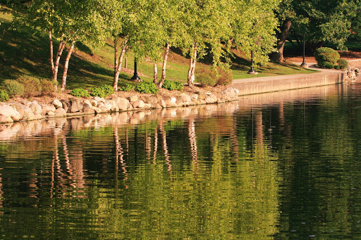 Lords Park - Visual